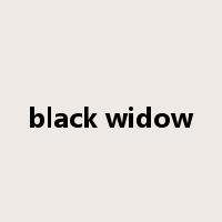 black widow是什么意思