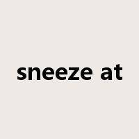 sneeze at是什么意思