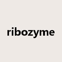 ribozyme是什么意思