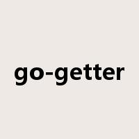 go-getter是什么意思