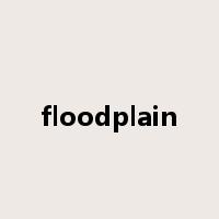 floodplain是什么意思