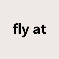 fly at是什么意思