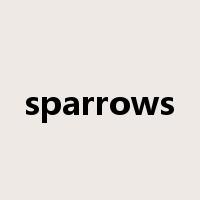 sparrows是什么意思