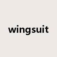 wingsuit是什么意思