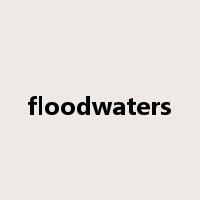floodwaters是什么意思