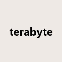 terabyte是什么意思