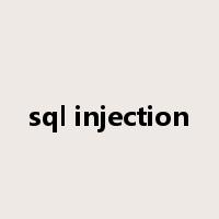 sql injection是什么意思
