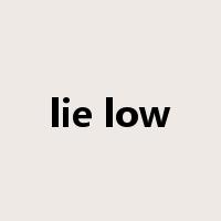 lie low是什么意思