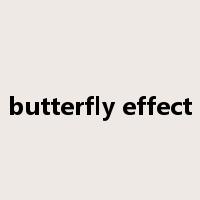 butterfly effect是什么意思