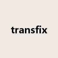 transfix是什么意思