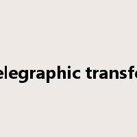 telegraphic transfer是什么意思