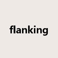 flanking是什么意思