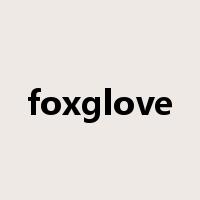 foxglove是什么意思