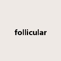 follicular是什么意思