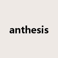 anthesis是什么意思