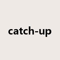 catch-up是什么意思