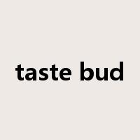 taste bud是什么意思