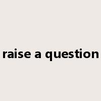 raise a question是什么意思
