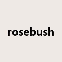 rosebush是什么意思