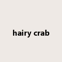 hairy crab是什么意思