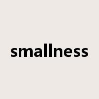 smallness是什么意思