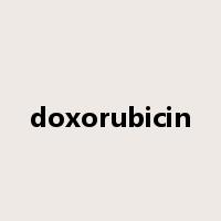 doxorubicin是什么意思