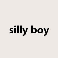 silly boy是什么意思