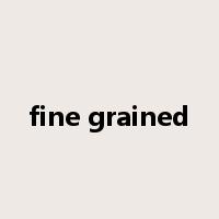fine grained是什么意思