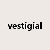 vestigial是什么意思