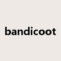 bandicoot是什么意思
