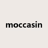 moccasin是什么意思