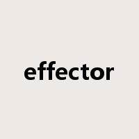 effector是什么意思