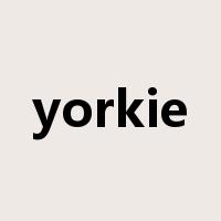 yorkie是什么意思