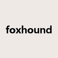 foxhound是什么意思