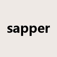 sapper是什么意思