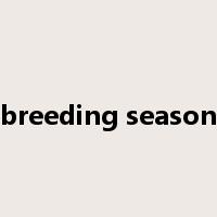 breeding season是什么意思