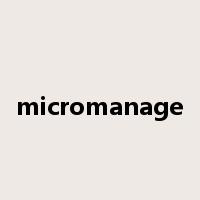 micromanage是什么意思