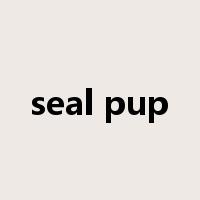 seal pup是什么意思