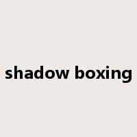 shadow boxing是什么意思