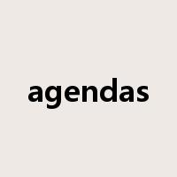 agendas是什么意思