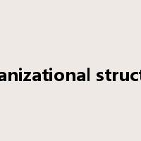 organizational structure是什么意思