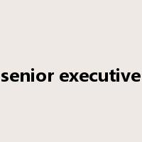 senior executive是什么意思