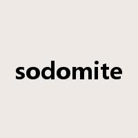 sodomite是什么意思