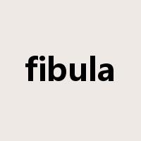 fibula是什么意思