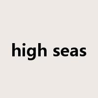 high seas是什么意思