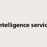 intelligence service是什么意思