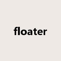 floater是什么意思