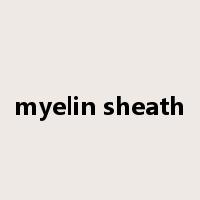 myelin sheath是什么意思