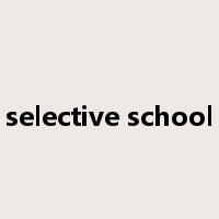 selective school是什么意思