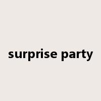 surprise party是什么意思